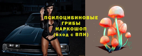 эйфоретик Абинск